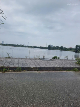 Bán đất tại Vinh Hưng, 1,2 tỷ, 240m2, Đất thổ cư chính chủ Hot!