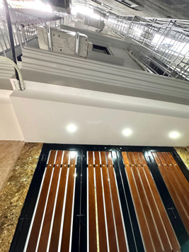 BÁN CCMN 8PN,8WC, 10,68 TỶ TẠI CẦU GIẤY - HAI THOÁNG - DÒNG TIỀN 50TR/THÁNG - ĐỦ PCCC - THANG MÁY