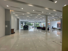 Cho thuê Nhà 1 sàn riêng biệt mặt tiền 30m tại phố Trần Thái Tông, 220 m2 thông sàn có PCCC lô góc