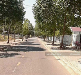 Chình chủ cần ra nhanh lô đất gần chợ Tóc Tiên MT Đ.Tô Nguyệt Đình Phú Mỹ Tân Thành Bà Rịa Vũng Tàu