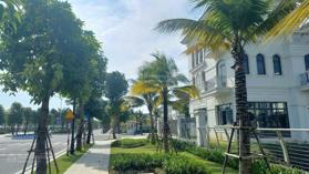 Cực sốc chưa bao giờ nhà đầu tư Vinhomes Star City Thanh Hóa lại trong tình cảnh khốn đốn như vậy!