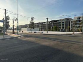 Đất tái định cư Nam Rạch Chiếc sát bên Global City, giá 20 tỷ đường số 8, phường An Phú, Q2