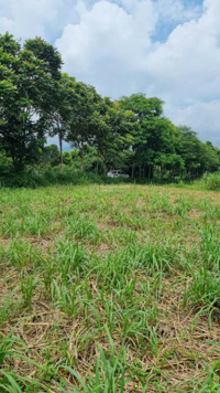 Chính chủ cần bán đất 50 năm xây dựng khu nghỉ dưỡng, du lịch, trang trại, giá siêu rẻ