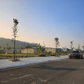 Cực rẻ, đất đấu giá Rừng Thông chuẩn bị sáp nhập thành phố