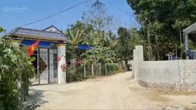 Bán cắt lỗ lô đất đẹp tại Triệu Sơn, giá sốc chỉ 250tr, 215m2, đất cách đường cao tốc Nghi Sơn 200m