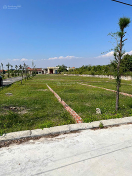 Chính chủ bán gấp lô đất Quất Lâm rẻ nhất thị trường từ 10tr mặt tiền 10m, chi tiết lh 0989 836 177