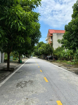 Đất nhà vườn Phúc Chỉnh - Nam Thành. Diện tích 300m2 x 15m mặt tiền. Vị trí ngõ 469 Lê Thái Tổ