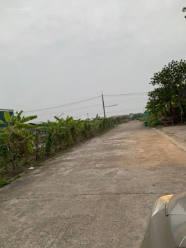 Đầu ve - Ninh Tiến 3. Diện tích 171m2 x 9m mặt. Vị trí dân cư đông đúc, giao thông thuận tiện