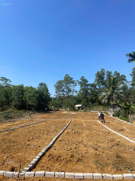 Đã bán 4/8 lô, còn lại 4 lô em cắt giá siêu đẹp. Nói giá là chốt ạ!