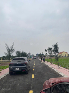 GĐ chuyển vào Nam sinh sống Cần bán gấp đất biển Quất Lâm 100m2