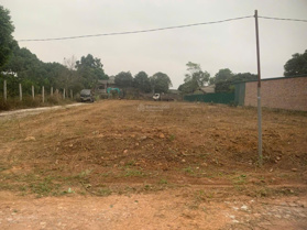 BÁN ĐẤT THÔN CÕI, ĐẠO TÚ, TAM DƯƠNG VĨNH PHÚC 1265M, NHỈNH 9 TỶ, PHÂN LÔ, NGÕ THÔNG, 2 MẶT TIỀN