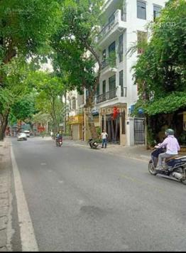 Nhà sát ngay vườn hoa Pasteur - Yec Xanh, HBT - Ô tô đỗ cửa - DT 55m2 + 4 tầng - Giá nhỉnh 12 tỷ