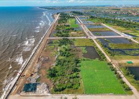 Chủ đầu tư mở bán khu đất vàng Quất Lâm, Nam Định gần Quảng trường, công viên biển, bãi tắm 880tr