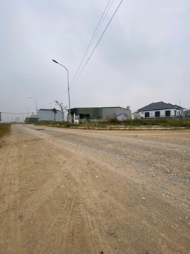 Bán 2 lô LK đẹp nhất tái định cư Quảng Minh, Sầm Sơn mà giá lại cực rẻ