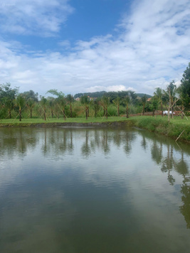 Cơ Hội Đầu Tư & Nghỉ Dưỡng: Nhà Vườn 1.2ha Ven Đà Lạt ngay trung tâm thị trấn Nam Ban