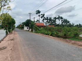 Tôi cần bán mảnh đất 115m2 mặt đường kinh doanh tại xã Hải Tân, huyện Hải Hậu, Nam Định