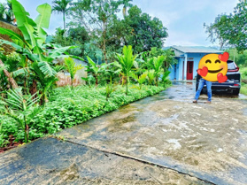 2, x tỷ/ 1070 m2, có 450m2 đất ở, đường 5m ôtô đến nơi. Giá đầu tư