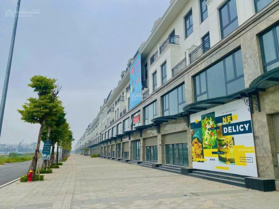 Shophouse, Liền kề View 16 toà chung cư Vinhome mà giá đất hiện tại chỉ ngang với giá chung cư.