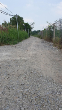 1,5 tỷ/1000m2 đất vườn (CLN) Phú Hữu - Nhơn Trạch đường xe hơi tới đất