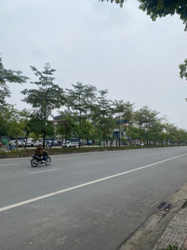 Chính chủ bán nhà mặt phố Ngô Gia Tự DT 146m2, MT 4.6m, vị trí kinh doanh, vỉa hè 8m