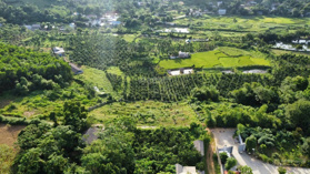 Nhỉnh 4tr/m2 1120m2 300m2 thổ cư tại Đồi Bù 833 view tuyệt đẹp