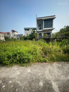 {Siêu hiếm} Bán đất Vân Nội tài chính công nhân ngõ thông, 48,5 m2, 2,6 tỷ