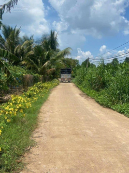 Đất vườn trái cây xã Bình Lộc Tp Long Khánh cần bán