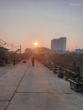 Đất đẹp Đại Mỗ, sát khu đô thị Louis, khu vực sầm uất, mặt ngõ ô tô tránh, chỉ 100 tr/m2 , 17,4 tỷ