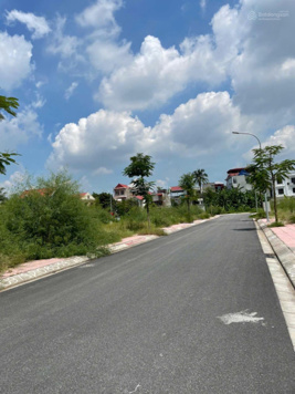 Lô đất bạt đấu giá tổ 6 Thị trấn An Dương- Huyện An Dương - TP Hải Phòng