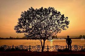 Bán đất gần Packexim Phú Xá giá tốt chỉ 30 tỷ, diện tích 169m2, ô tô tận đất