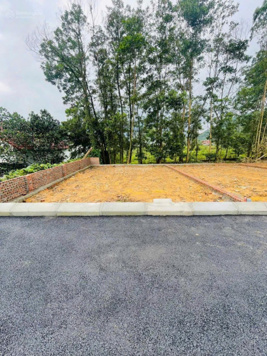 Bán thửa đất 95m2 Cổ Đông ôtô đường thông mặt tiền rộng, giá rẻ 1.9 tỷ