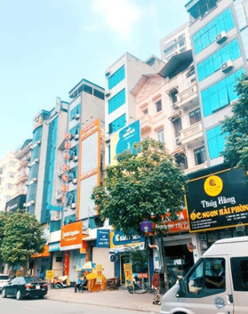 Mảnh đất Lạc Long Quân - Cầu Giấy, phân lô, vị trí đắc địa, ô tô, SDCC, 160m2, giá 25.9 tỷ