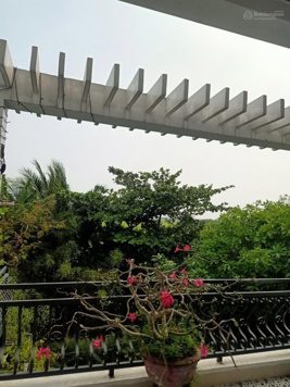 Bán nhà 2 PN View Lúa kiệt Lý Thái Tổ Hội An - Cách Trung Tâm Phố Cổ 5 phút di chuyển
