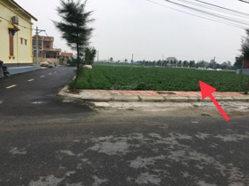 Em chính chủ muốn bán lô đất đường trục chính kinh doanh tại bãi tắm Quất Lâm- Giao Thủy- Nam Định