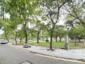 Cơ hội mang nhà về ăn tết khu phố Trường Chinh - TP Huế - MT đẹp 10m vip 3T