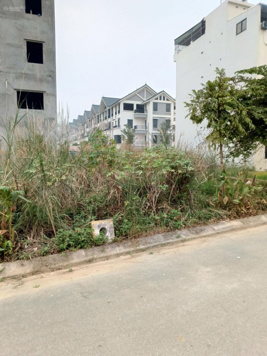 Bán đất 68m2 tại Lai Xá, Kim Chung, Hoài Đức, Hà Nội giá 8,5 tỷ