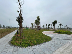 Hiện tôi cần bán cặp lô 80 m2, liền kề 2 - 3 dự án Nghi Sơn Central Park, gần vườn hoa