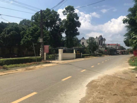 Bán đất tại Xã Cao Ngọc, Ngọc Lặc, Thanh Hóa, 900 triệu, 1089 m2