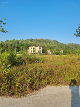 Bán đất tại Lan Mẫu, Lục Nam, Bắc Giang, 350 triệu, 130m2 đẹp nhiều tiện ích