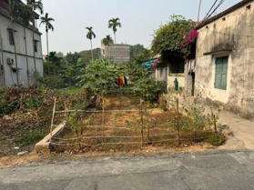 Bán đất Thanh Vỵ, Sơn Lộc, Sơn Tây, HN