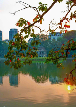 Cần bán khách sạn mặt phố Hàng Dầu, Hoàn Kiếm. DT 410m2 x 9T, 1 hầm, MT 9m. Vị trí đẹp, KD sầm uất