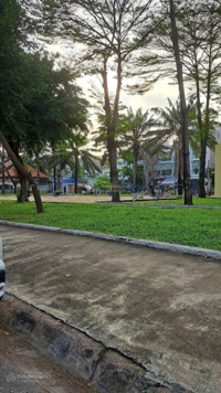 Đất MTNB KDC Tên Lửa(4x20m) view công viên, cách Aeon 200m