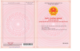 QSDĐ thửa đất số 513, TBĐ số 24, tọa lạc tại ấp số 5, xã Mỹ Cẩm, huyện Càng Long, tỉnh Trà Vinh