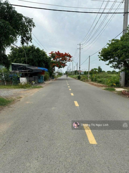 Bán gấp đất MT Tân Quới Hưng, Trường An, Vĩnh Long, gần trạm y tế phường Tân Ngãi. 120m2/600tr SHR