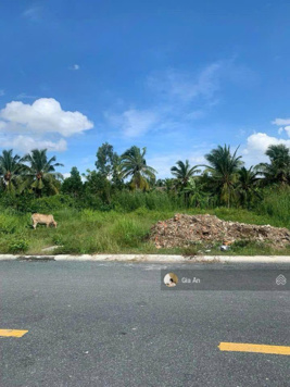 Bán nhanh lô đất 120m2 SHR tại MTĐ Nguyễn Thị Hồng, Vũng Liêm, Vĩnh Long gần THPT Võ Văn Kiệt