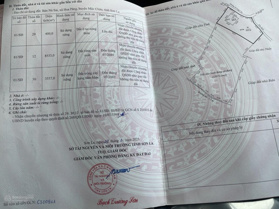 Bán 2,5ha sẵn nhà sàn, cạnh đường liên xã, view thung lũng, tặng 3600 gốc cây ăn quả giá trị cao