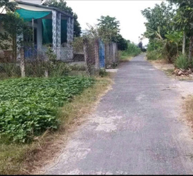Bán đất MT đường nhựa thị trấn Vĩnh Bình, Gò Công Tây, Tiền Giang, 229,6m2, sổ rồi, 620tr TL