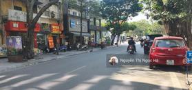 Nhà mặt phố Triệu Việt Vương - vị trí đẹp nhất phố Giá trị, đẳng cấp, Sổ đẹp nở hậu tài lộc 62.9 tỷ