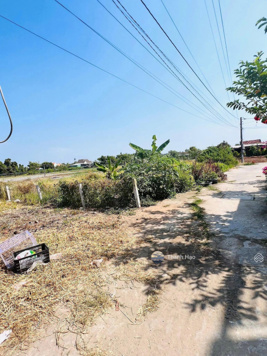 Ngộp 97m2 đất gần văn phòng ấp Long Thuận, Đường D1, Long Hồ, Vĩnh Long, SHR đầy đủ