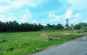 Bán nhanh lô đất 140m2 MT Đ. QL53, Hiếu Phụng, Vũng Liêm, Vĩnh Long, SHR, full thổ cư